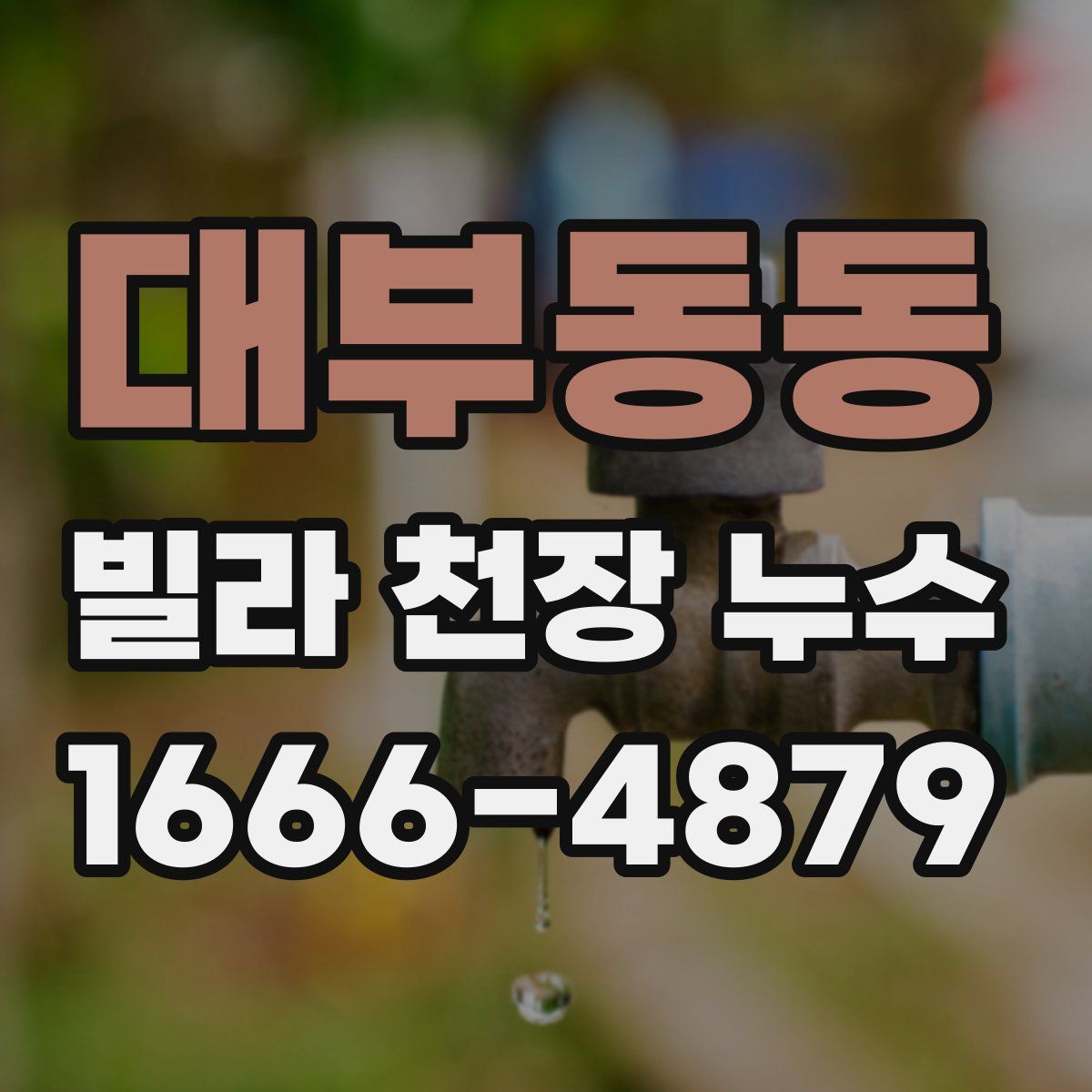 대부동동 빌라 천장 누수