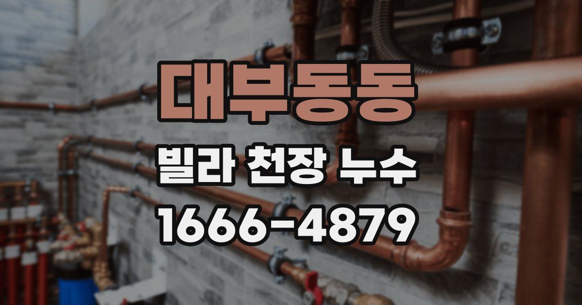 대부동동 빌라 천장 누수