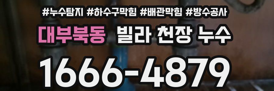 대부북동 빌라 천장 누수