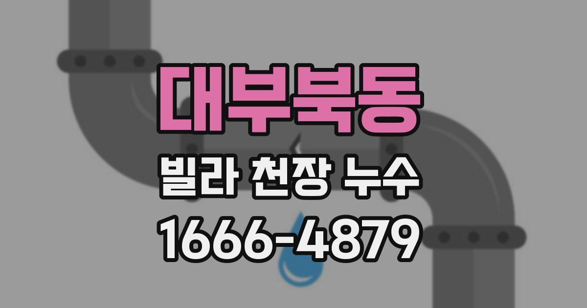 대부북동 빌라 천장 누수