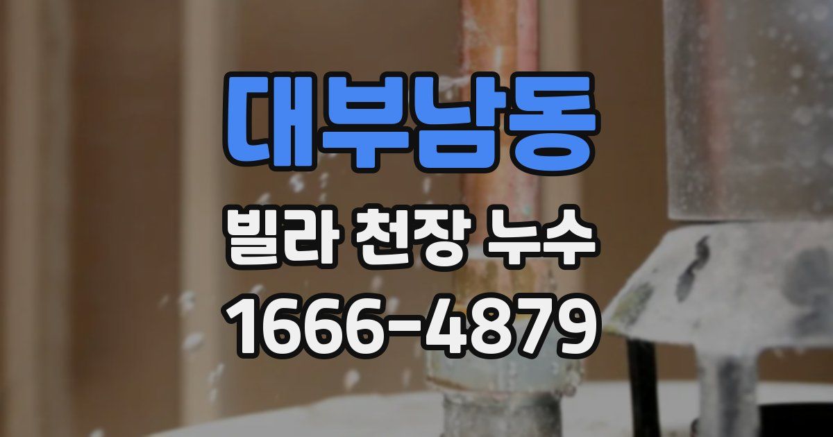 대부남동 빌라 천장 누수