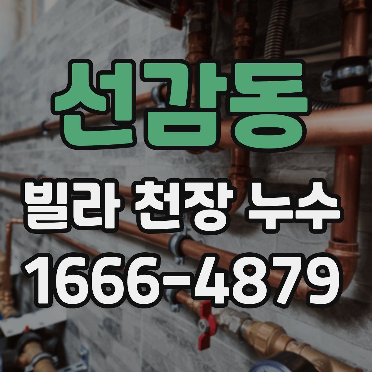 선감동 빌라 천장 누수
