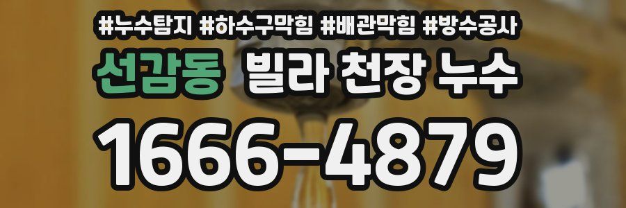 선감동 빌라 천장 누수