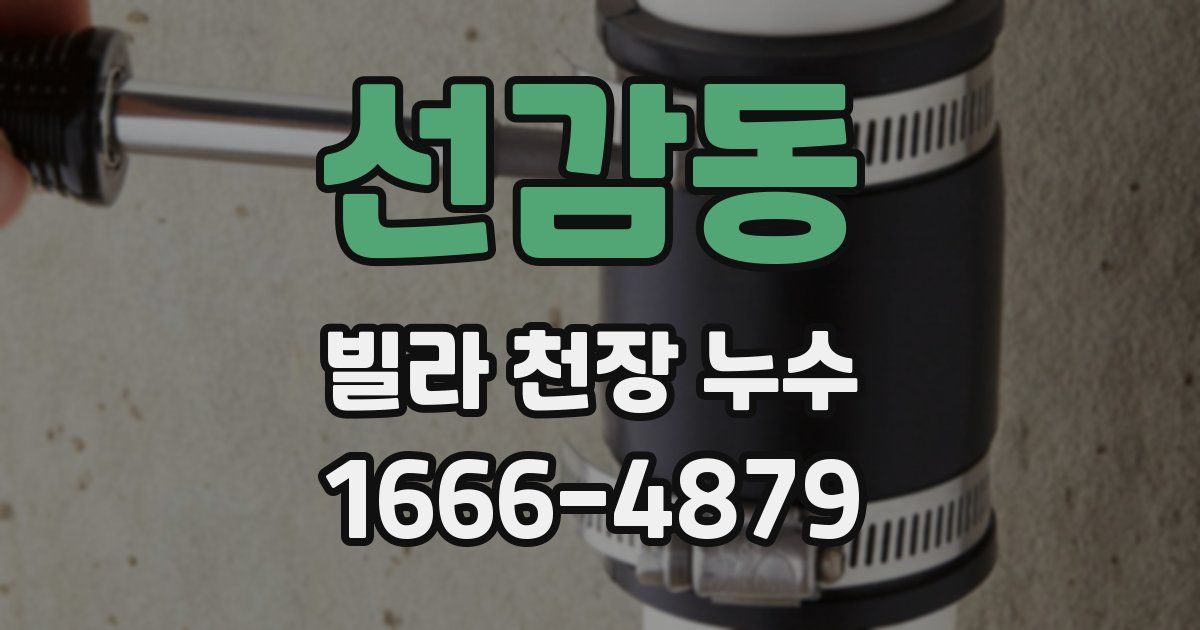 선감동 빌라 천장 누수