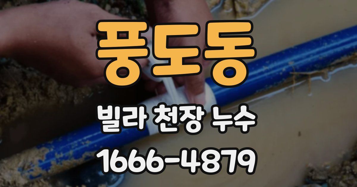 풍도동 빌라 천장 누수
