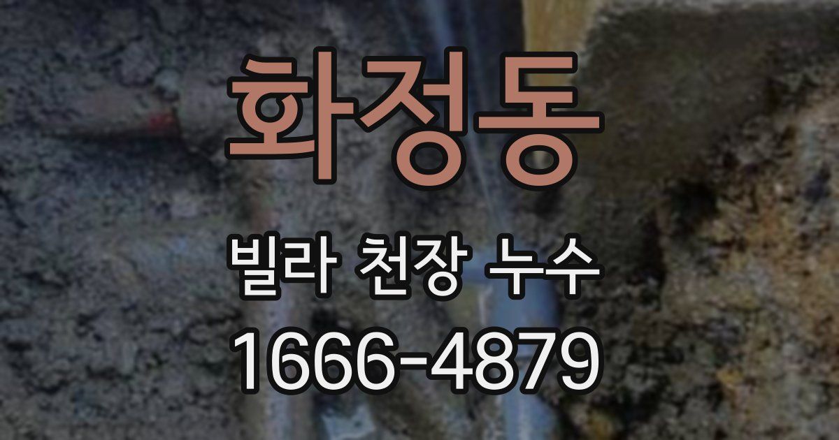화정동 빌라 천장 누수