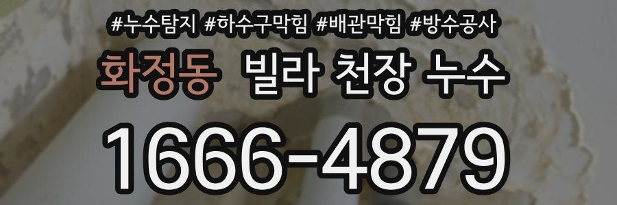 화정동 빌라 천장 누수
