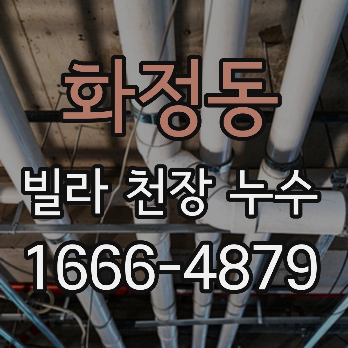 화정동 빌라 천장 누수