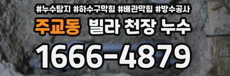 주교동 빌라 천장 누수