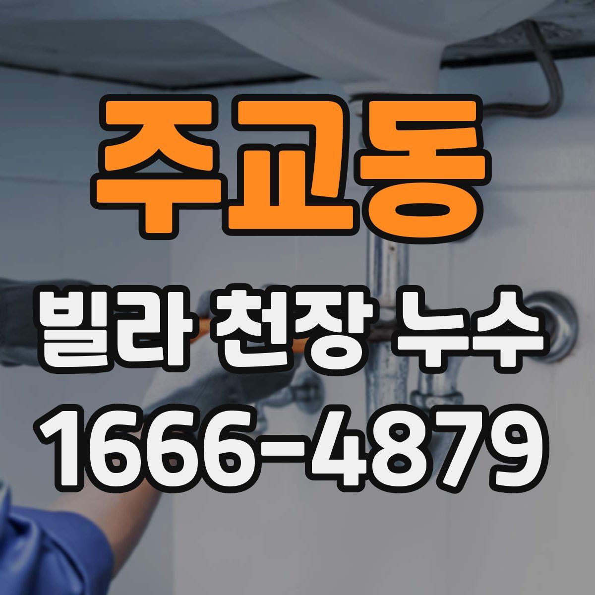 주교동 빌라 천장 누수
