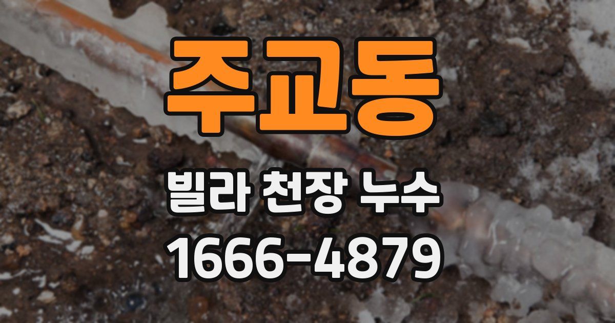 주교동 빌라 천장 누수
