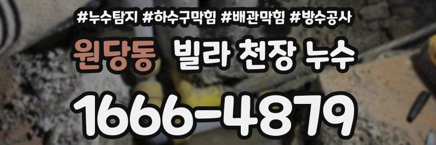 원당동 빌라 천장 누수