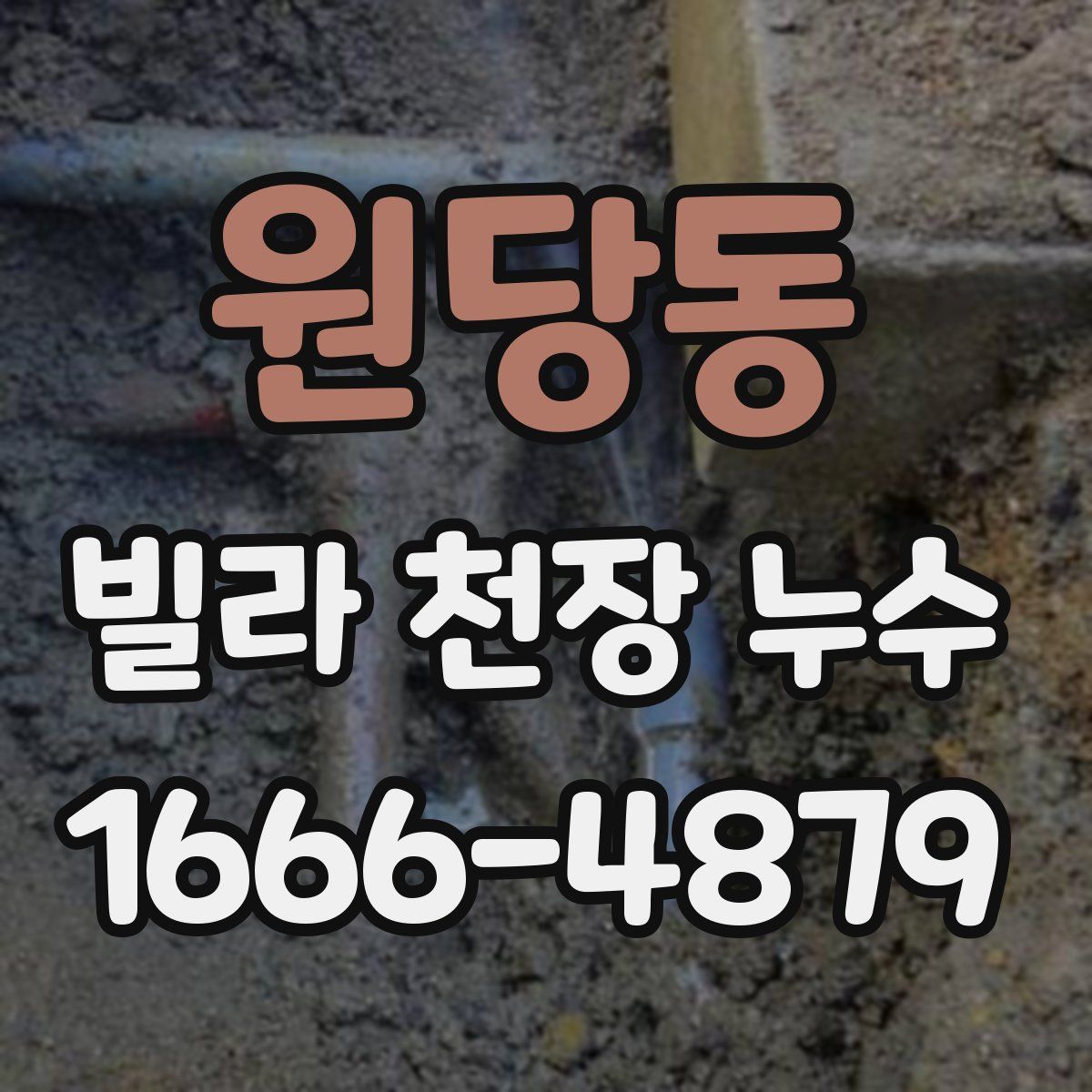 원당동 빌라 천장 누수