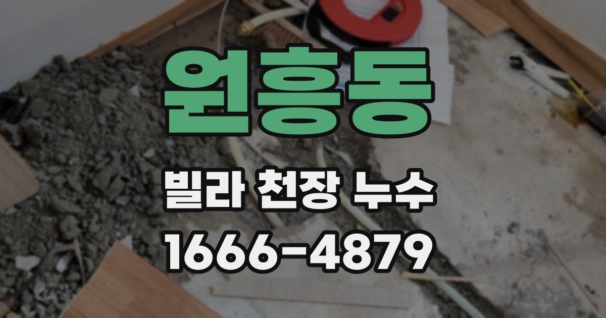 원흥동 빌라 천장 누수