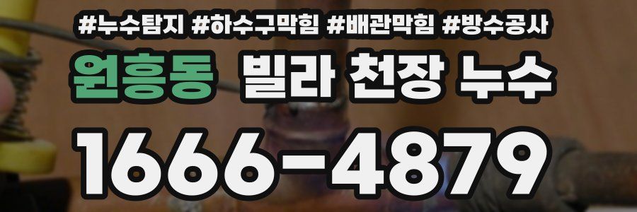 원흥동 빌라 천장 누수
