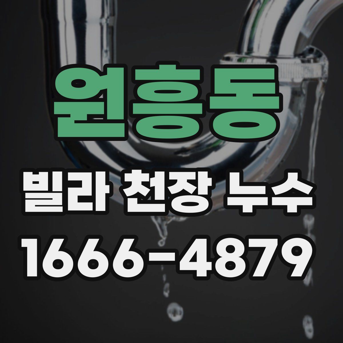 원흥동 빌라 천장 누수