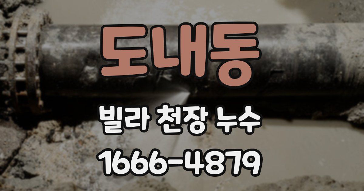도내동 빌라 천장 누수
