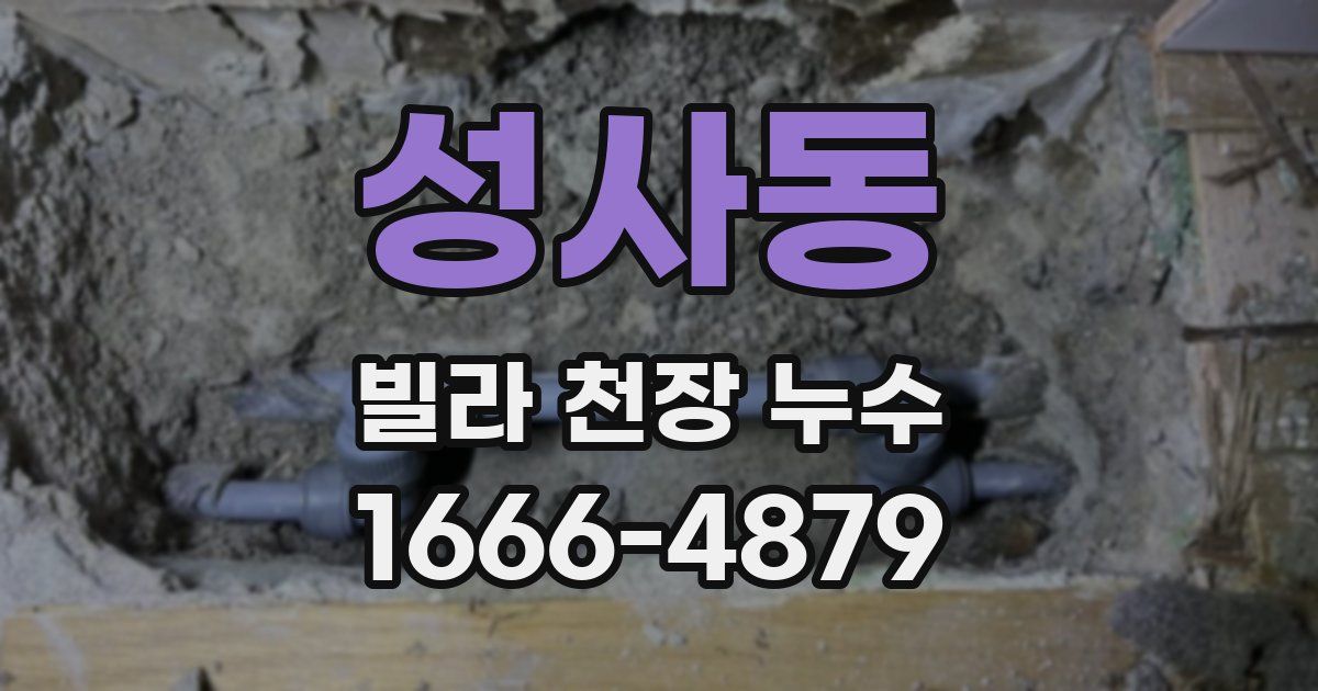 성사동 빌라 천장 누수