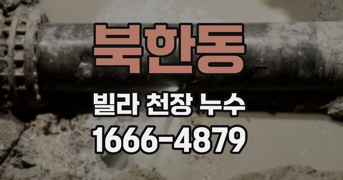 북한동 빌라 천장 누수