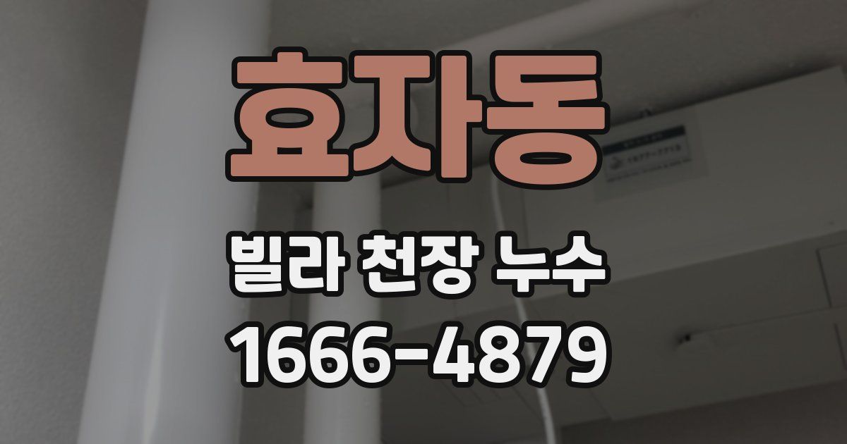 효자동 빌라 천장 누수