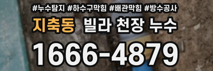 지축동 빌라 천장 누수
