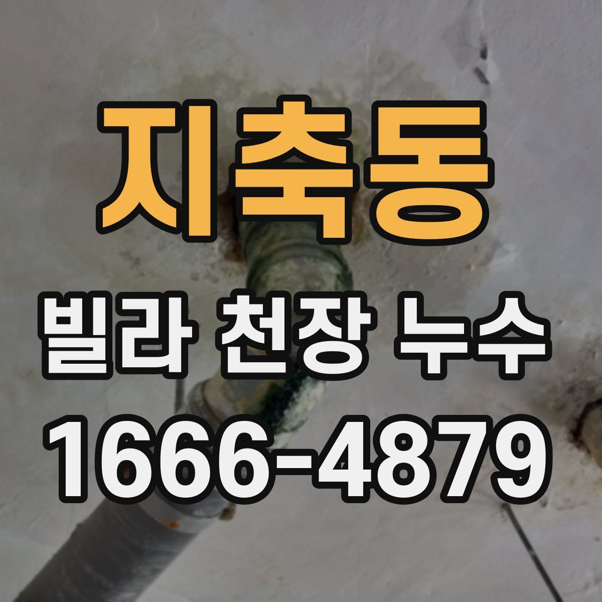 지축동 빌라 천장 누수