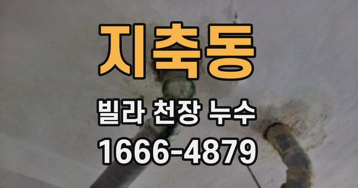지축동 빌라 천장 누수