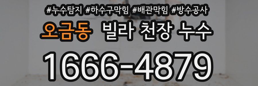 오금동 빌라 천장 누수