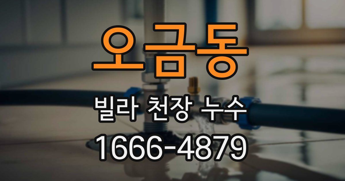오금동 빌라 천장 누수