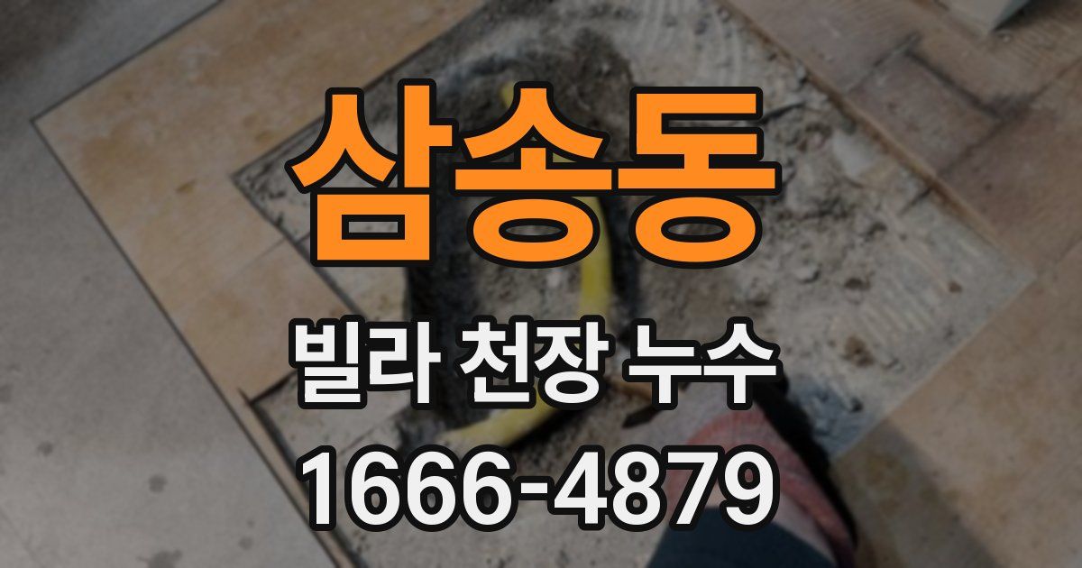 삼송동 빌라 천장 누수
