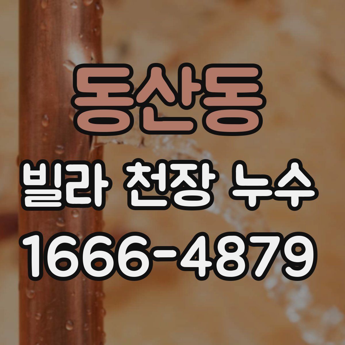 동산동 빌라 천장 누수