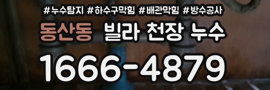 동산동 빌라 천장 누수