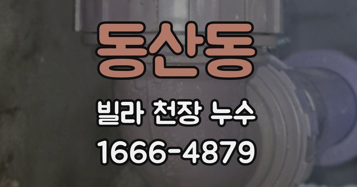 동산동 빌라 천장 누수