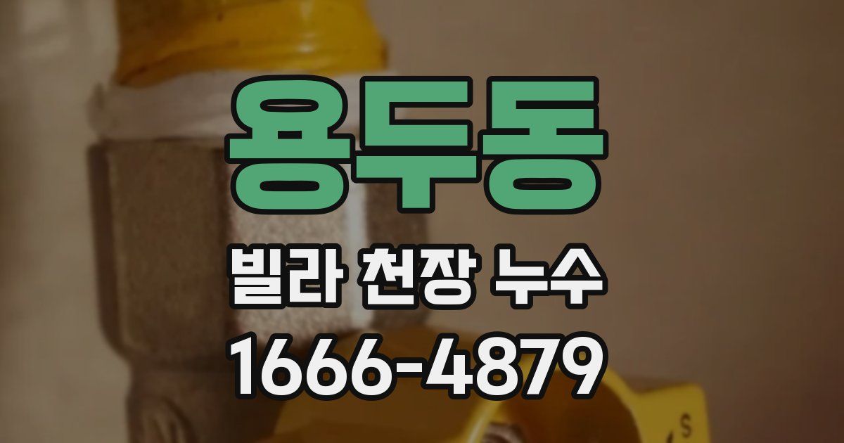 용두동 빌라 천장 누수
