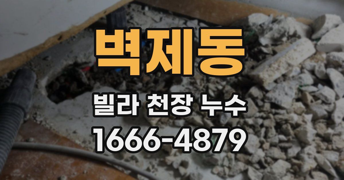 벽제동 빌라 천장 누수