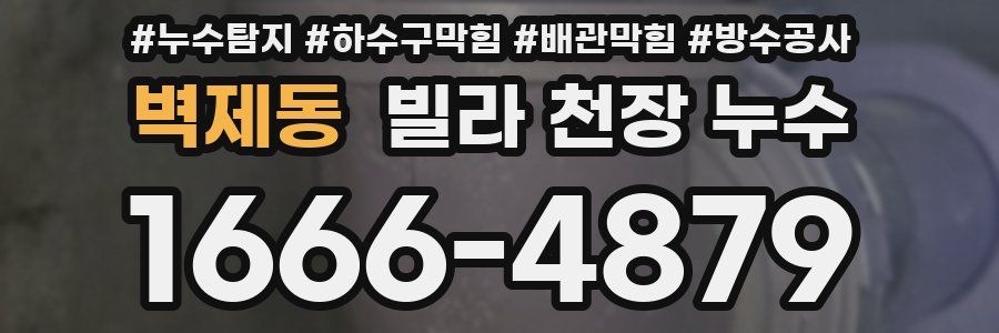 벽제동 빌라 천장 누수