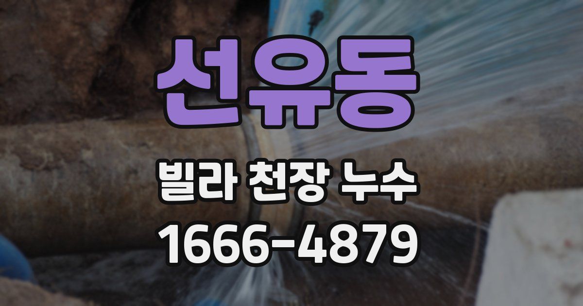 선유동 빌라 천장 누수