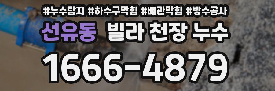 선유동 빌라 천장 누수