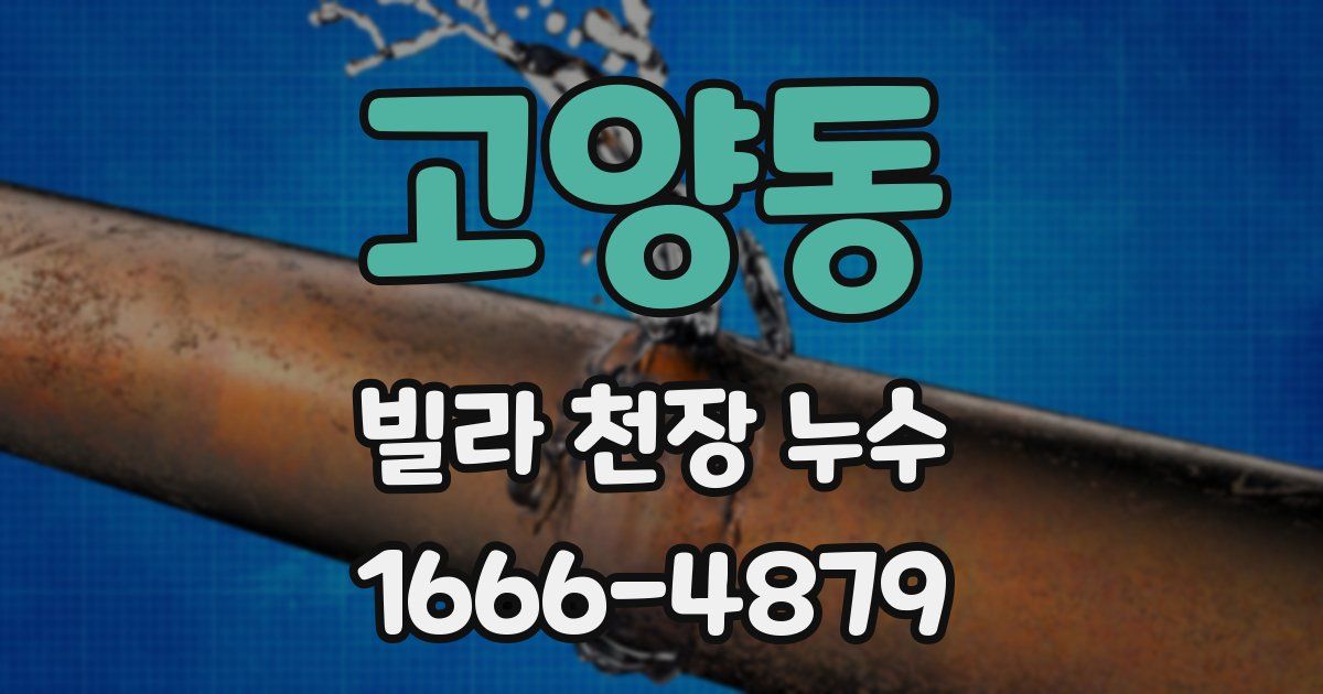 고양동 빌라 천장 누수