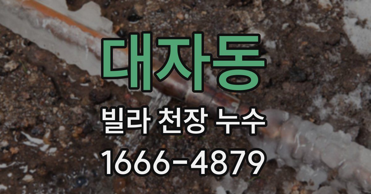 대자동 빌라 천장 누수