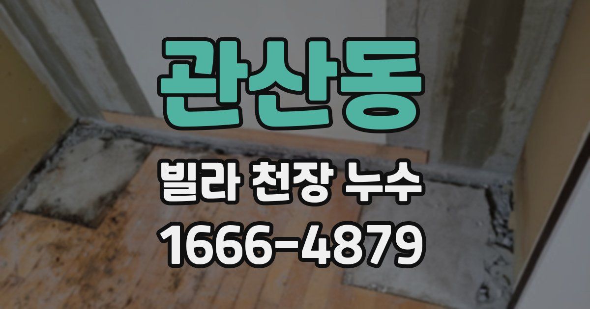 관산동 빌라 천장 누수