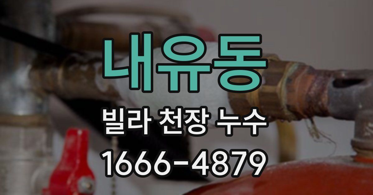 내유동 빌라 천장 누수