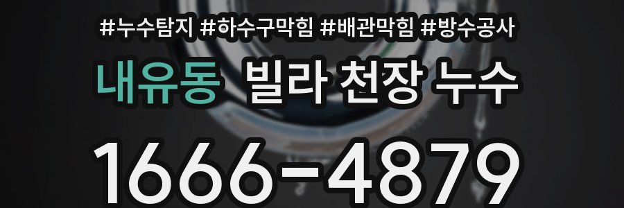 내유동 빌라 천장 누수