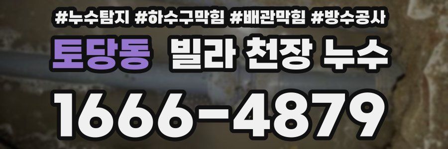 토당동 빌라 천장 누수