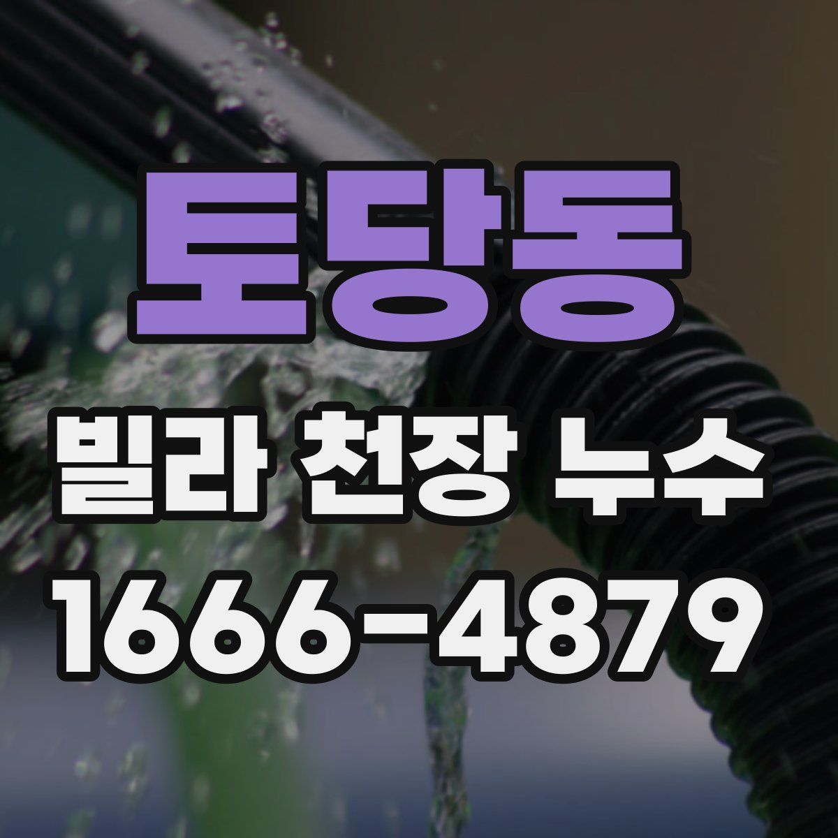 토당동 빌라 천장 누수