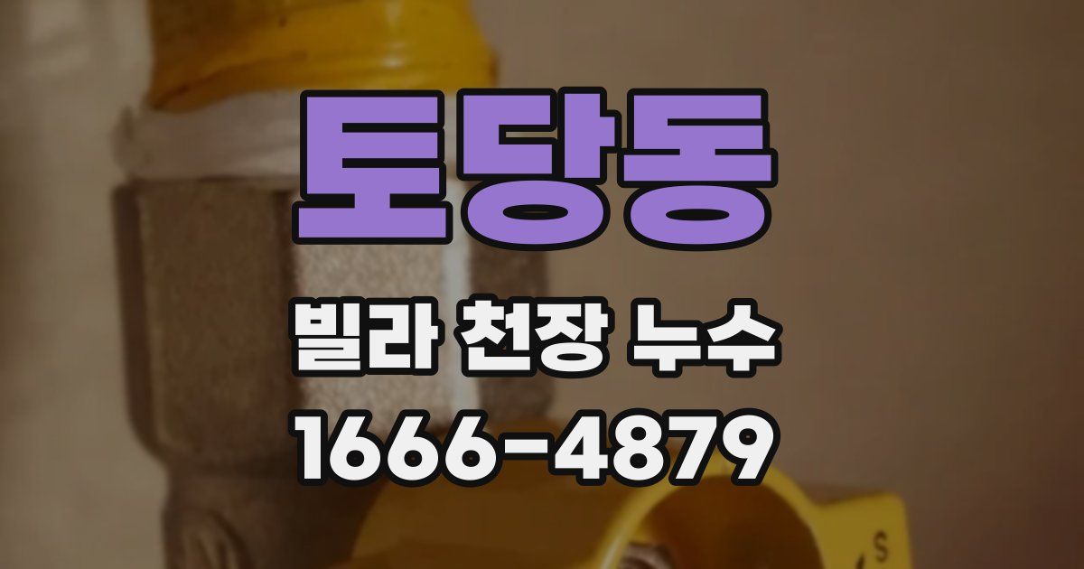 토당동 빌라 천장 누수