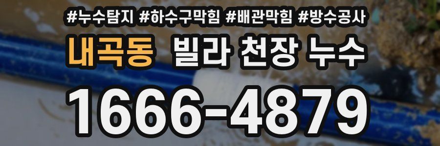 내곡동 빌라 천장 누수