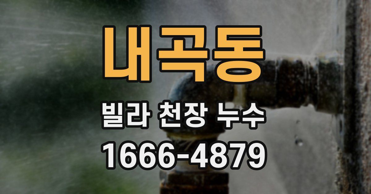 내곡동 빌라 천장 누수