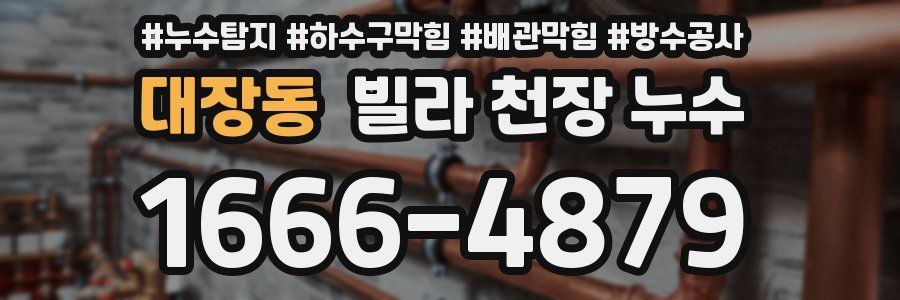 대장동 빌라 천장 누수