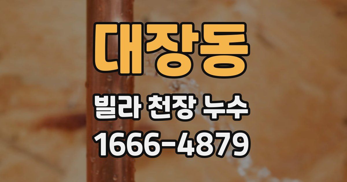 대장동 빌라 천장 누수